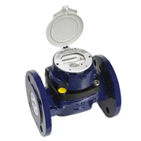 CPTEUR MEISTREAM PLUS DN65 LG200