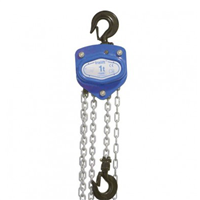 Palan manuel à chaîne Tralift CMU 1000 kg - 1 brin - hauteur levée 3 m - Tractel