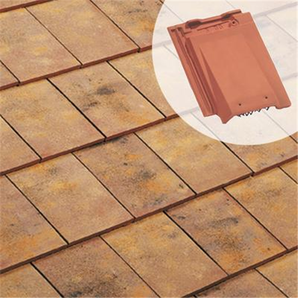 Tuile de ventilation chatière BEAUVOISE