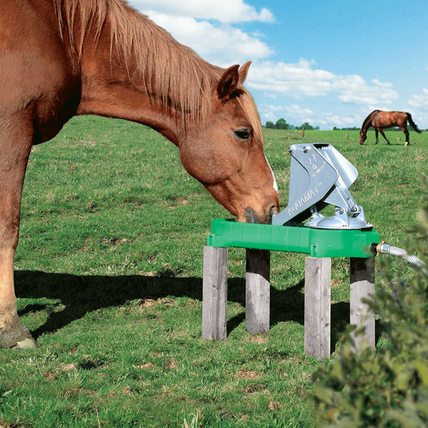 Abreuvoir pompe de prairie pour chevaux et bovins - AQUAMAT II - avec kit d'aspiration complet 7 mètres
