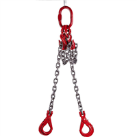 ELINGUE CHAINE 2 BRINS 2CSC+CR D8 MM  2M