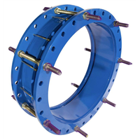 JOINT DEMONT. DN300 PN16