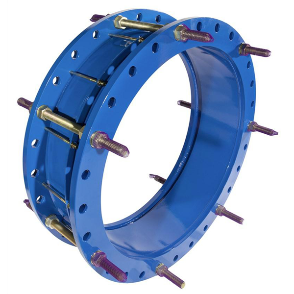 JOINT DEMONT. DN300 PN16