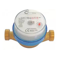 Compteur d'eau divisionnaire - Jet unique - Eau froide - Calibre 20 - M 1