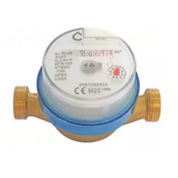 Compteur d'eau divisionnaire - Jet unique - Eau froide - Calibre 20 - M 1
