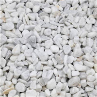 CARRARA LIVORNO 8/16 RONDO