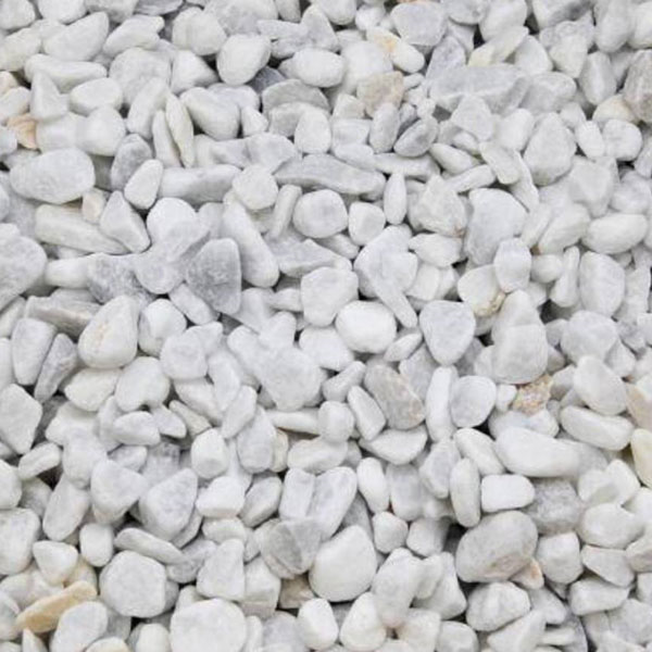 CARRARA LIVORNO 8/16 RONDO