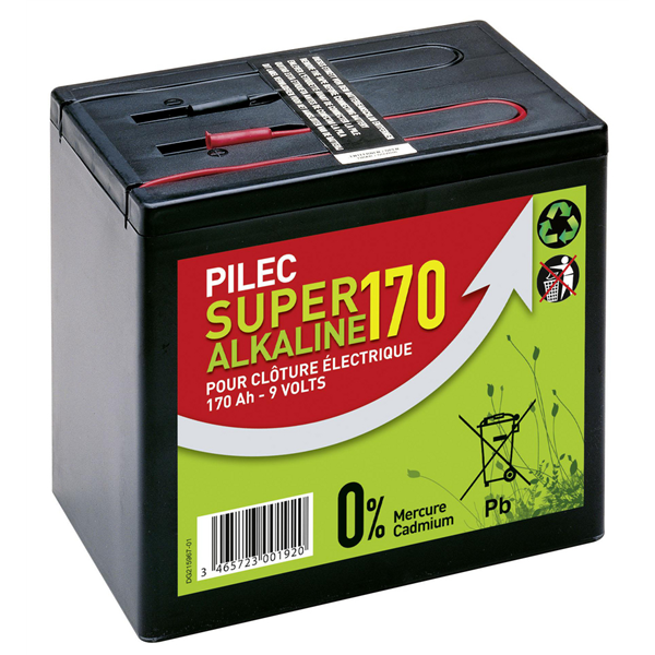 PILE ALCALINE 9V - 170 AH