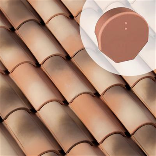 Fronton de rive à rabat GM AK178