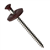 Brun chocolat RAL 8017