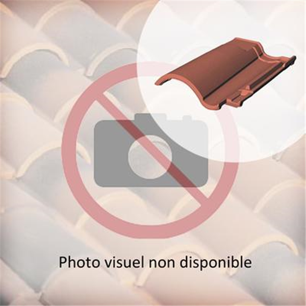 Tuile chatière DCL 61DL