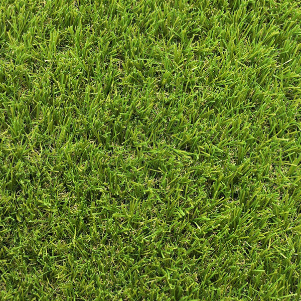 Gazon synthétique - Park Exelgreen - Garantie 6 ans - Hauteur 30,00 MM