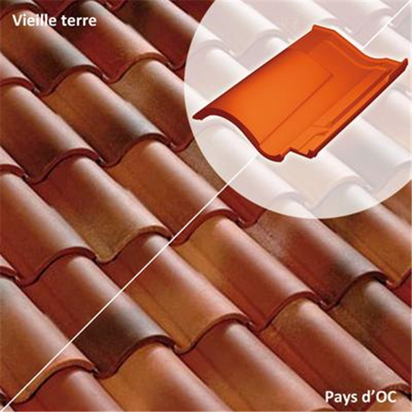 Tuile chatière DC12 (61DG)