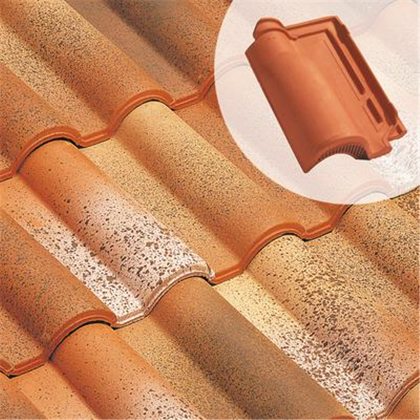 Tuile chatière en terre cuite - Romane Sans - section 21 cm² - Paysage