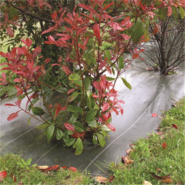 Toile de paillage Géo-Paillis de 90 gr/m² - R. 16 kN - rouleau de 2 M x 25 M