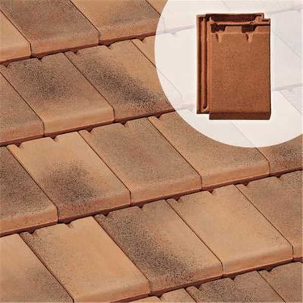 Tuile petit moule aspect plat en terre cuite - Regence - Terron