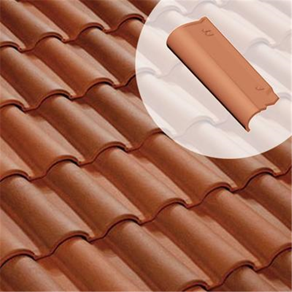 Rive ronde gauche - 9HR