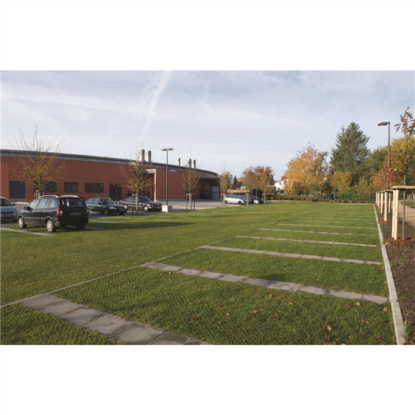 ACO GRASS DALLE A ENGAZONNER PEHD 584 x 384 x 38 MM