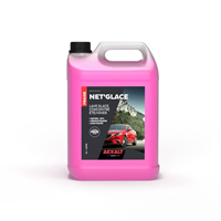 Lave glace concentré antigel -20°C - Net'Glace Aexalt - parfum fraise - bidon de 5 litres