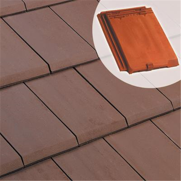 Tuile chatière pour ventilation sous-toiture - Alpha 10 - Vieilli masse