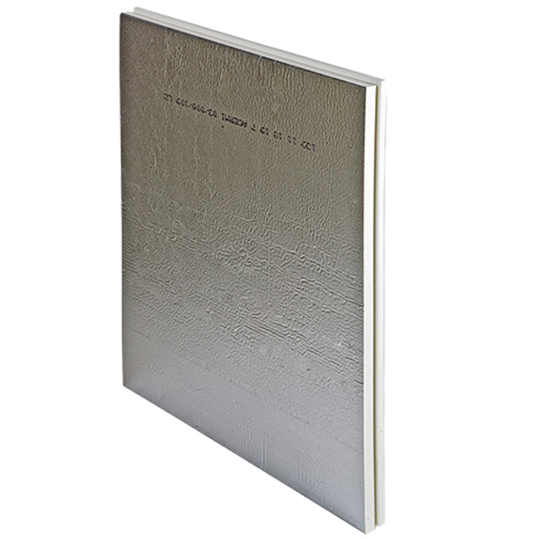 Panneau isolant pour murs extérieurs sous bardage ventilé - Efigreen ITE - R 4,50 m².K/W - 1,20 M x 1,00 M - ép. 100 MM