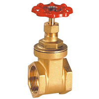 VPD 102 2" FF LAIT.ISO PN16