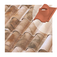 Tuile à douille TB-12 Tejas Borja - Ø  intérieur 130 mm - coloris Nature Lamalou - 435 MM x 255 MM