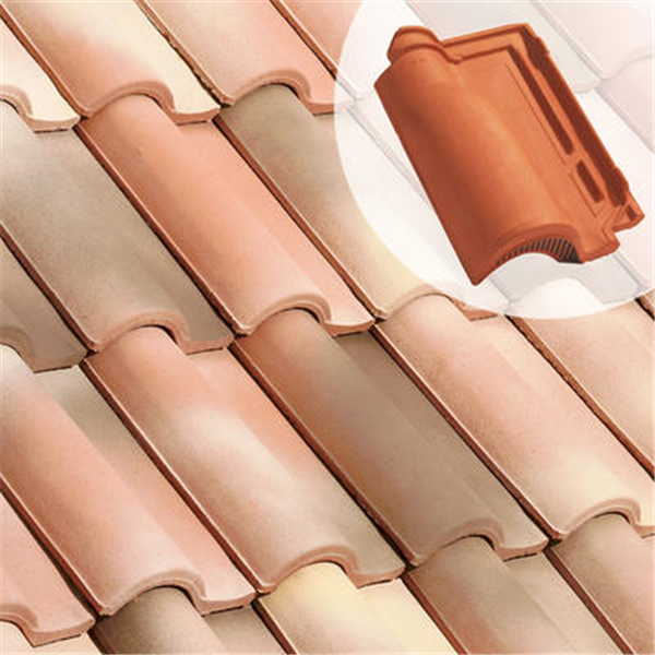 Tuile chatière en terre cuite - Romane Sans - section 21 cm² - Ancien