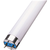 Tube néon