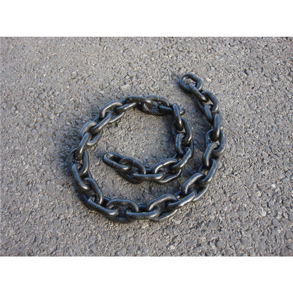 CHAINE LEVAGE D10 GRAD 80    1M