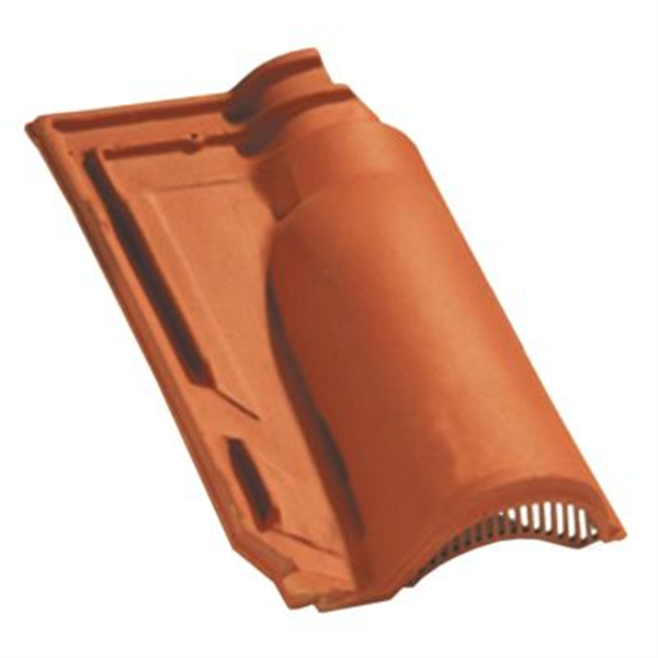 Tuile chatière en terre cuite - Méridionale Poudenx - section 20 cm² - Pastel