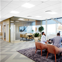 Dalle de plafond suspendu Ecophon Focus E pour ossature T24 - Blanc - 600,0 MM x 600 MM - ép. 20,00 MM