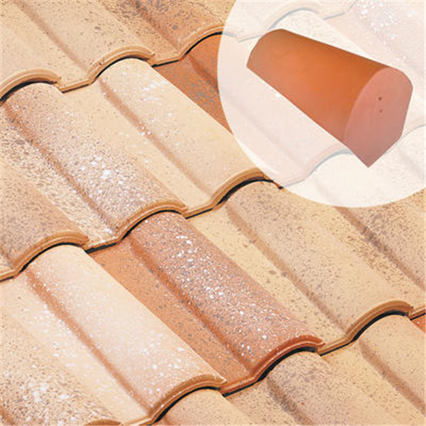 Fronton p/ faîtière à sec FR10