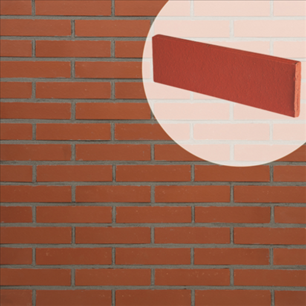 Plaquette de parement mural en terre cuite lisse Terreal Rouge - 22 CM x 5 CM - épaisseur 14 MM