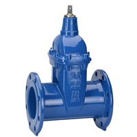 VANNE 02/68 FAH DN 150 PN 25