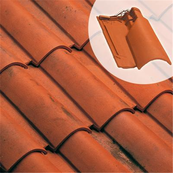 Tuile chatière en terre cuite - Oméga 10 - section aération 33 cm² - Rouge nuancé