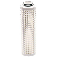 CARTOUCHE POUR FILTRE BX - RL10-BX-50µ*