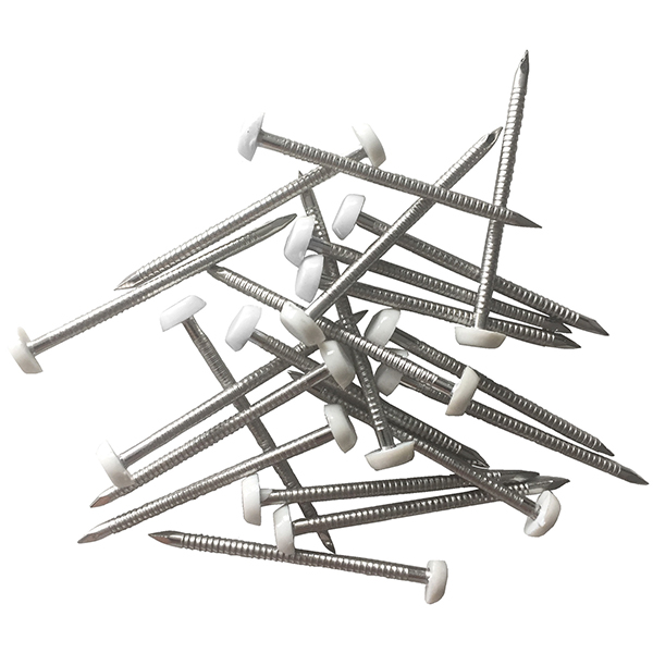 Pointe annelée Elos Inox A4 diamètre 3 MM longueur 65 MM tête Blanche boîte de 100