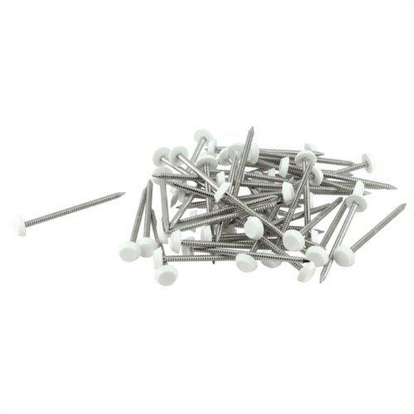 CLOU INOX EMBOUT PLASTIQUE LG.65MM BLANC