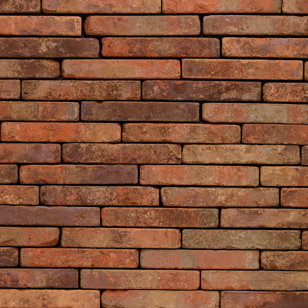 Brique perforée en terre cuite Terca Eco-brick Métropolis Rouge aula - Wienerberger - 240,0 MM x 65 MM x 40,00 MM