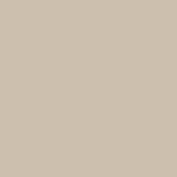 Dalle faux plafond 60x60 cm - Tonga A 22 - Bords droits - Couleur Calcaire - ép. 22 mm