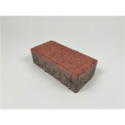 PAVE RECT 200X100X60 RG 50PCES  M2