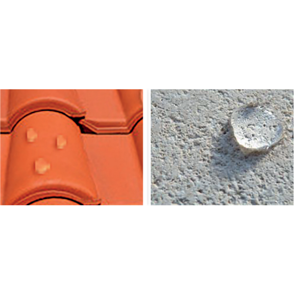 Imperméabilisant protection toiture mur et façade - Algifuge Algimouss - Bidon de 5 litres