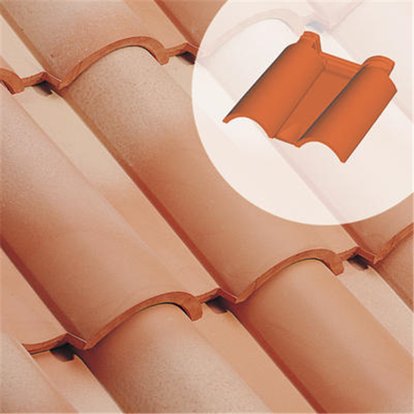 Tuile double bourrelet Aquitaine (111.90)