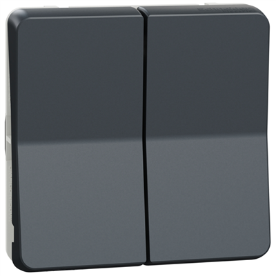 Interrupteur double va-et-vient Schneider Mureva Styl - IP55 - IK08 - gris anthracite - 10AX 250V