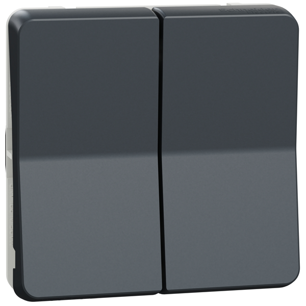 Interrupteur double va-et-vient Schneider Mureva Styl - IP55 - IK08 - gris anthracite - 10AX 250V