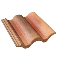 Tuile béton grand moule à fort galbe - Plein Ciel - Silvacane littoral - 42 x 33.2 cm