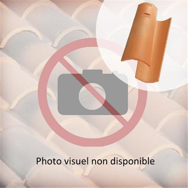 Tuile Canal Gironde à tenon