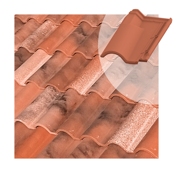 Tuile chatière en terre cuite TB-12 Tejas Borja - coloris Nature Castilla - 440 MM x 260 MM