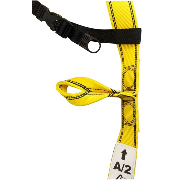 Harnais de sécurité 2 points d'accrochage dorsal et sternal